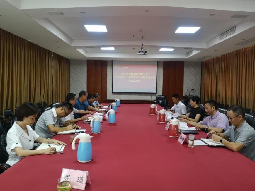 集團(tuán)公司召開“不忘初心、牢記使命”主題教育活動(dòng)民主生活會(huì)