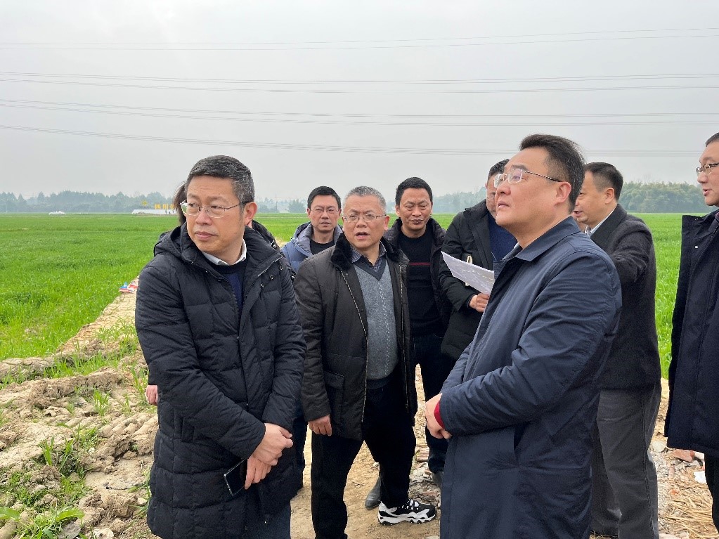 省社、省供投集團領導調研青白江區(qū)四川現代供銷種業(yè)園區(qū)