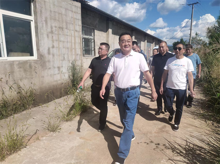 鄧華帶隊調研萬源舊院黑雞產業(yè)基地建設情況