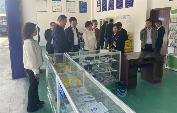 四川省供銷社黨組成員、理事會副主任、一級巡視員楊武秀帶隊(duì)到萬源調(diào)研集團(tuán)舊院黑雞產(chǎn)業(yè)發(fā)展工作